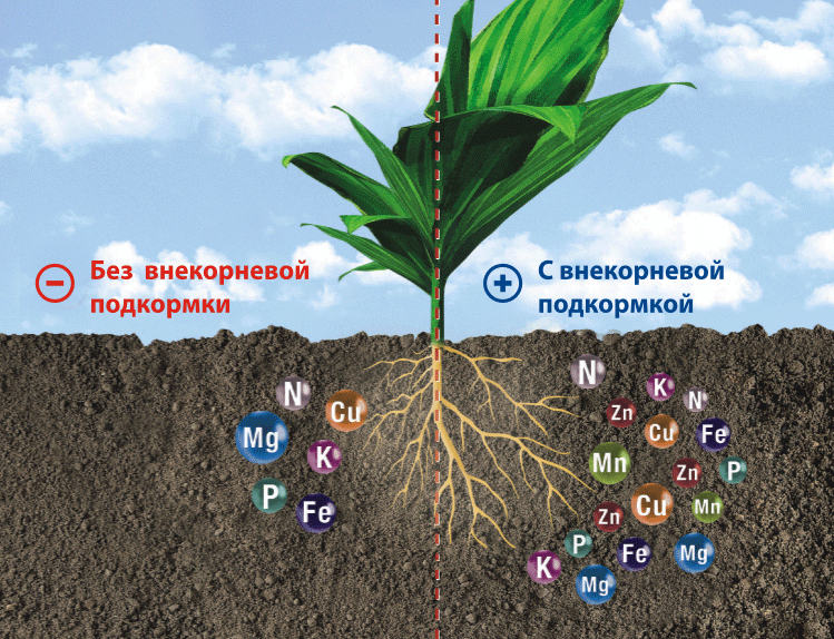 Удобрения